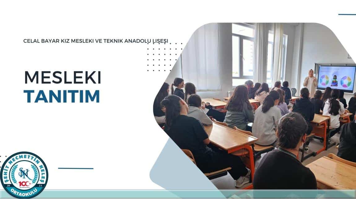 Mesleki Tanıtım